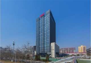 北京名师亲授斫琴味道大不大