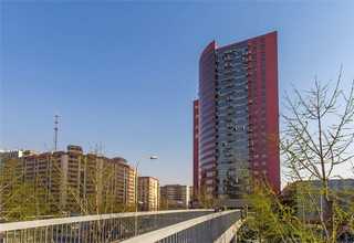 酱香型白酒能降血脂吗