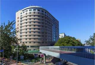 曲靖果岭草草皮批发